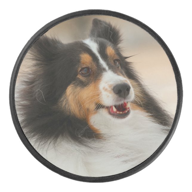 Happy Shelty  Hockey Puck (Front)