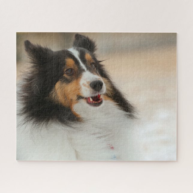 Happy Shelty Jigsaw Puzzle (Horizontal)