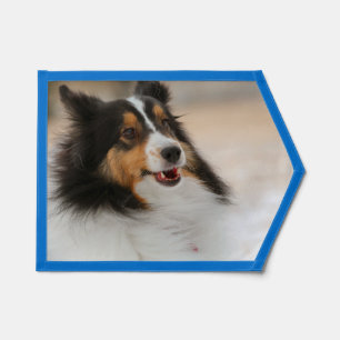 Happy Shelty Pennant