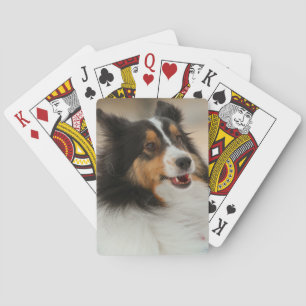 Happy Shelty Poker Cards
