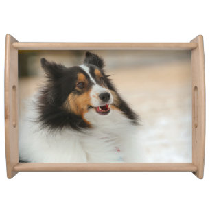 Happy Shelty Serving Tray