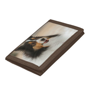 Happy Shelty Trifold Wallet