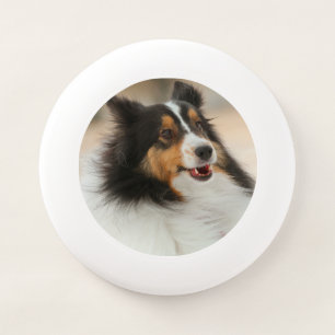 Happy Shelty Wham-O Frisbee