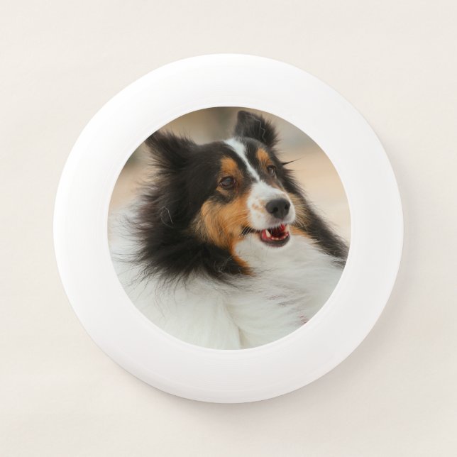 Happy Shelty  Wham-O Frisbee (Front)