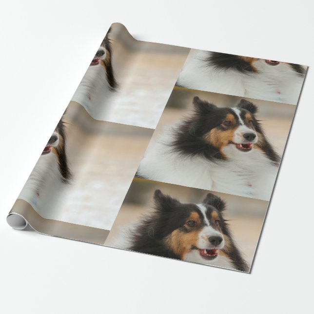 Happy Shelty Wrapping Paper (Unrolled)