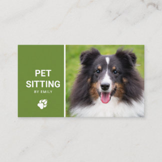Happy Shetland Sheepdog Photo - Green Pet Sitting Business Card