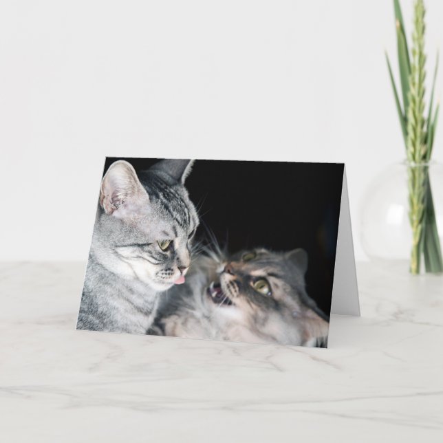 Happy Siblings Day! Card (Front)