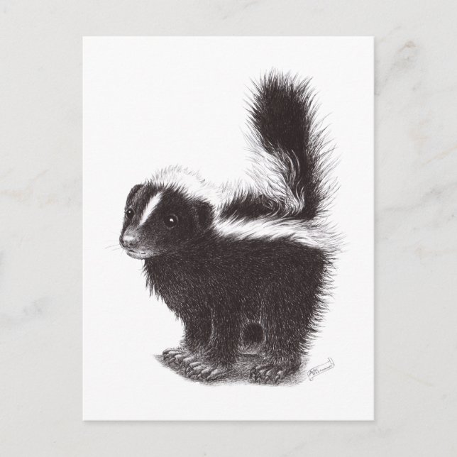 Happy Skunk Postcard (Front)