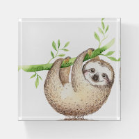 Happy Sloth