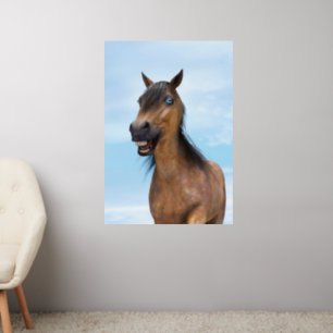 Happy Smiling Bay Horse Wall Decal