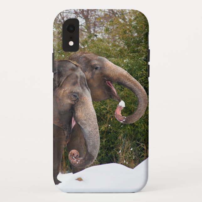 Happy smiling cute elephants playing in the snow. Case-Mate iPhone case (Back)