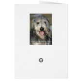 Happy smiling dog cards (Back)