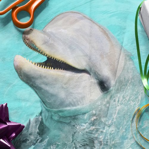 Happy Smiling Dolphin Tissue Paper