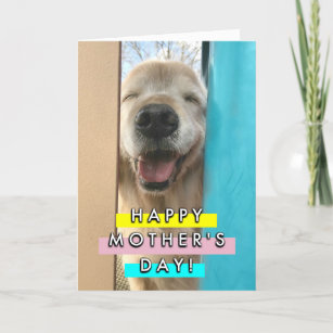 Mud Dog Mother's Day Card Funny Happy Mother's Day Cards From the Dog  Golden Retriever Dog Mom Gifts 