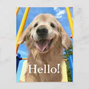 Happy Smiling Golden Retriever Postcard