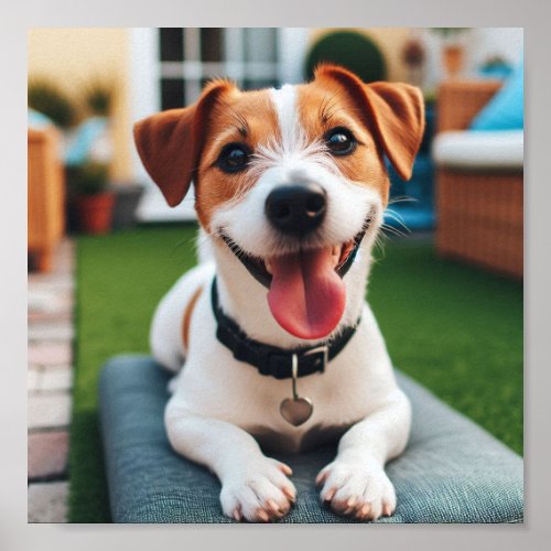 happy smiling Jack Russell Terrier Poster