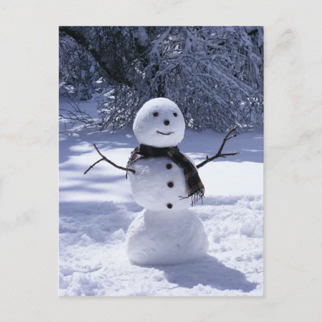 HAPPY SNOWMAN 3 POSTCARD | Zazzle