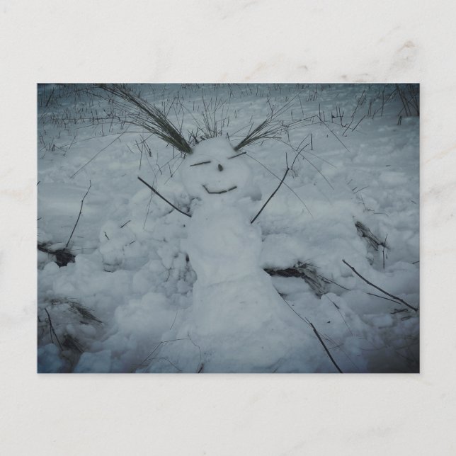 Happy Snowman Photo  Postcard (Front)