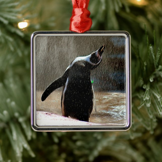 Happy Splashing Penguin Framed Metal Christmas Metal Ornament (Tree)