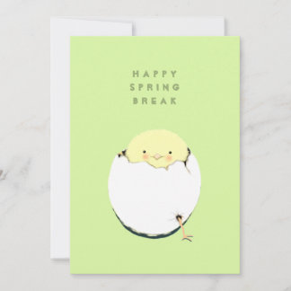 Happy Spring Break Holiday Card