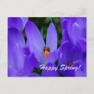 Happy Spring Card