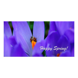 Happy Spring Card