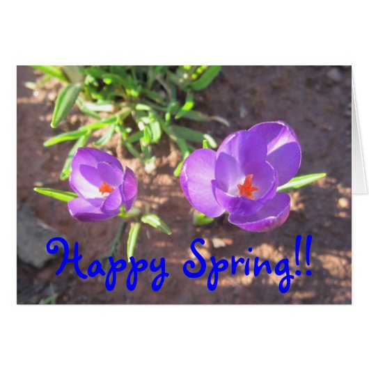 Happy Spring Cards (Front Horizontal)