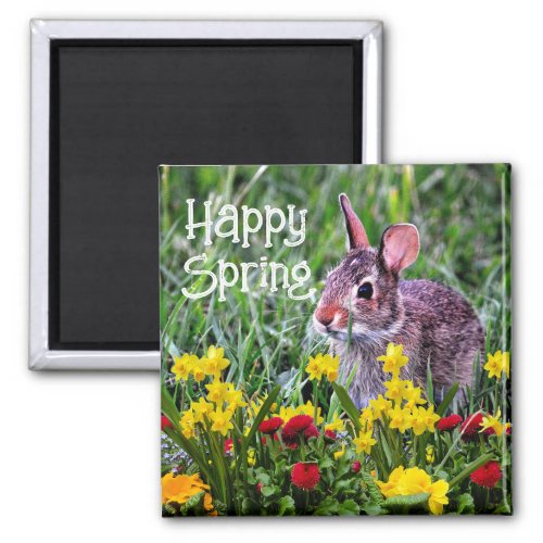 Happy Spring Daffodils and Rabbit  Magnet