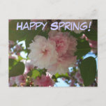 Happy Spring Double Blossoming Cherry Postcard