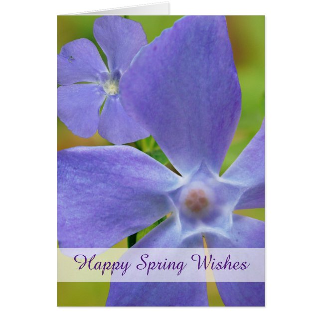 Happy Spring Flowering Vinca Purple Blooms Cards (Front)