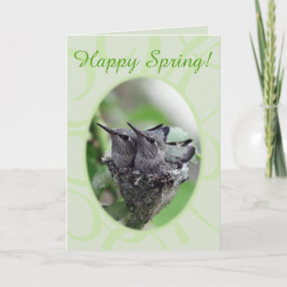 Happy Spring | Hummingbirds in Nest Photo | Holiday Card