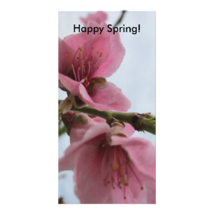 Happy Spring! Photo Card