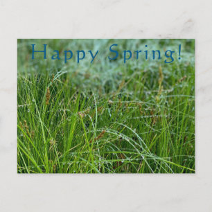 Happy Spring! Postcard