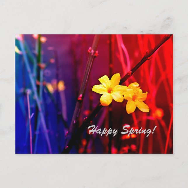 Happy Spring Postcard (Front)
