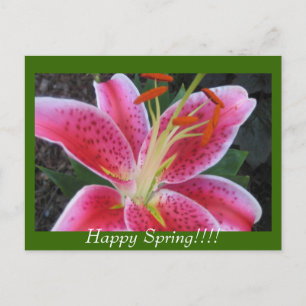 Happy Spring!!Postcard Postcard