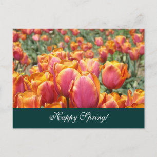 Happy Spring! postcards Colorful Tulip Flower