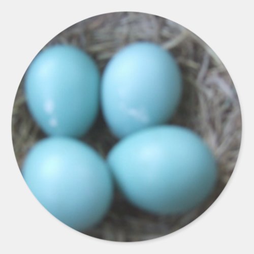 Happy Spring Robins Blue Eggs in Nest Bird Eggs Classic Round Sticker