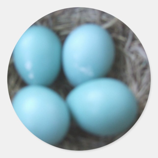 Happy Spring Robins Blue Eggs in Nest, Bird Eggs Classic Round Sticker (Front)