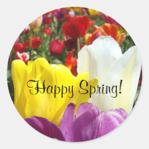 Happy Spring! stickers Colorful Tulip Flowers