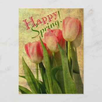 Happy Spring Tulips Postcards by mvdesigns at Zazzle
