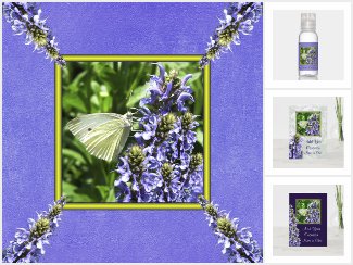 Happy Spring White Butterfly Moth