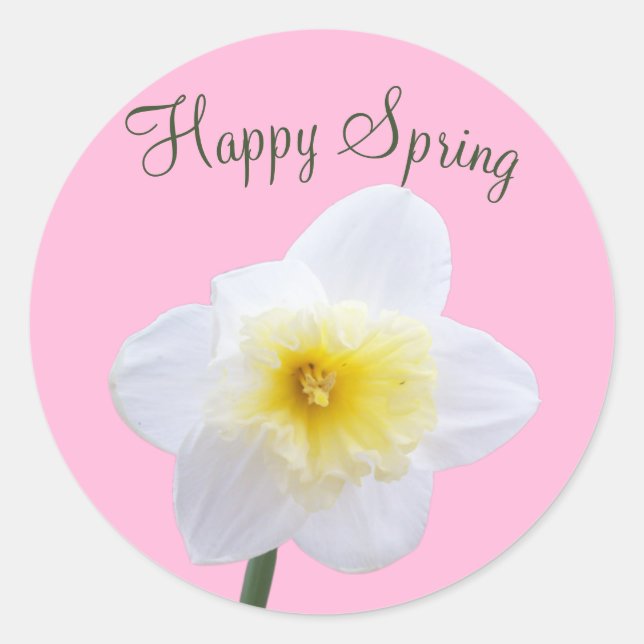 Happy Spring White Daffodil Flower Pink Sticker (Front)