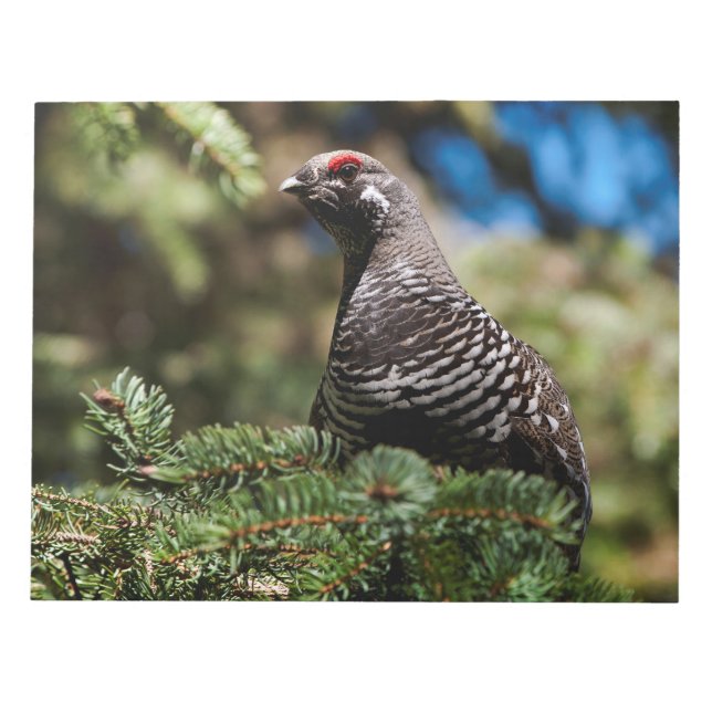 Happy Spruce Grouse Notepad (Front)
