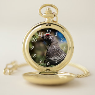 Happy Spruce Grouse Pocket Watch