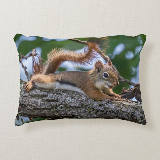 Happy Squirrel Accent Pillow (Front)