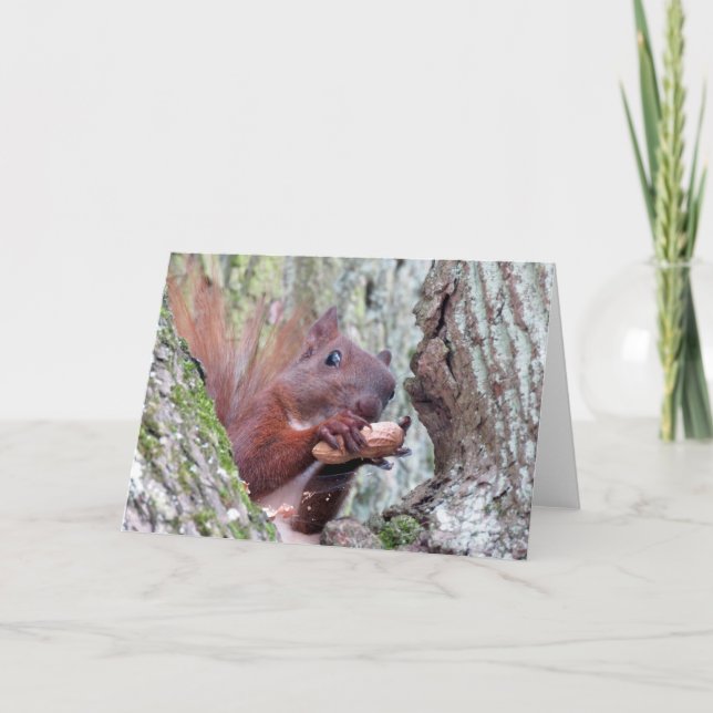 Happy Squirrel Greeting Card (Front)