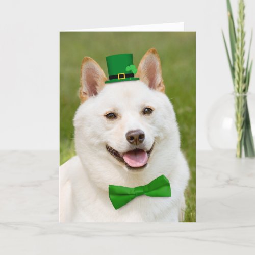 Happy St Patricks Day Anyone Shiba Inu Dog Holiday Card