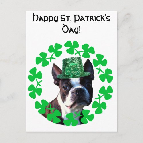 Happy St Patricks Day Boston Terrier Postcard