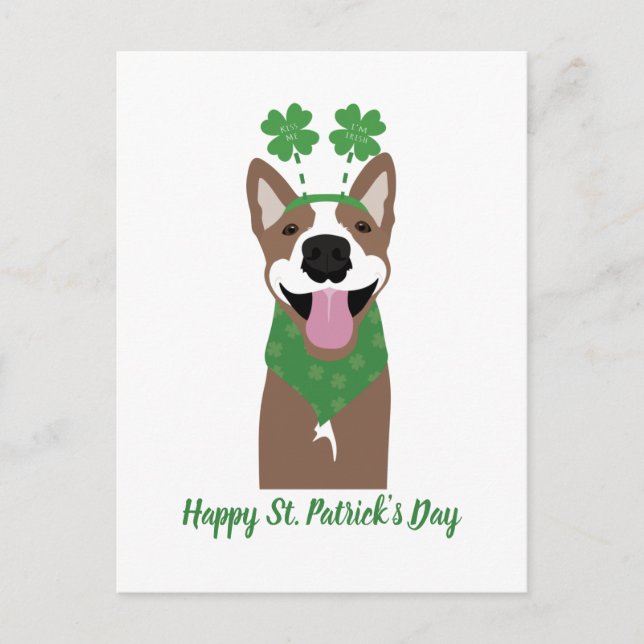 Happy St Patricks Day Brown Dog Green Postcard (Front)