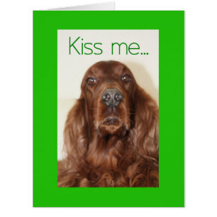 Happy St. Patrick's Day Cards